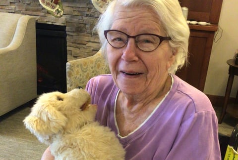 The joys and benefits of robotic animals