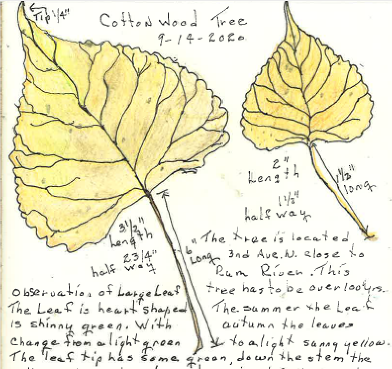 thumbnail_Screen Shot 2020-12-07 at 9.32.10 AM